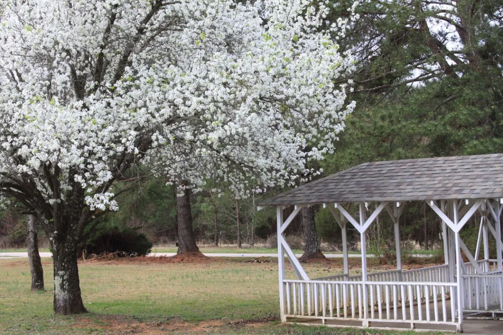 the wave of Columbia, SC addiction treatment